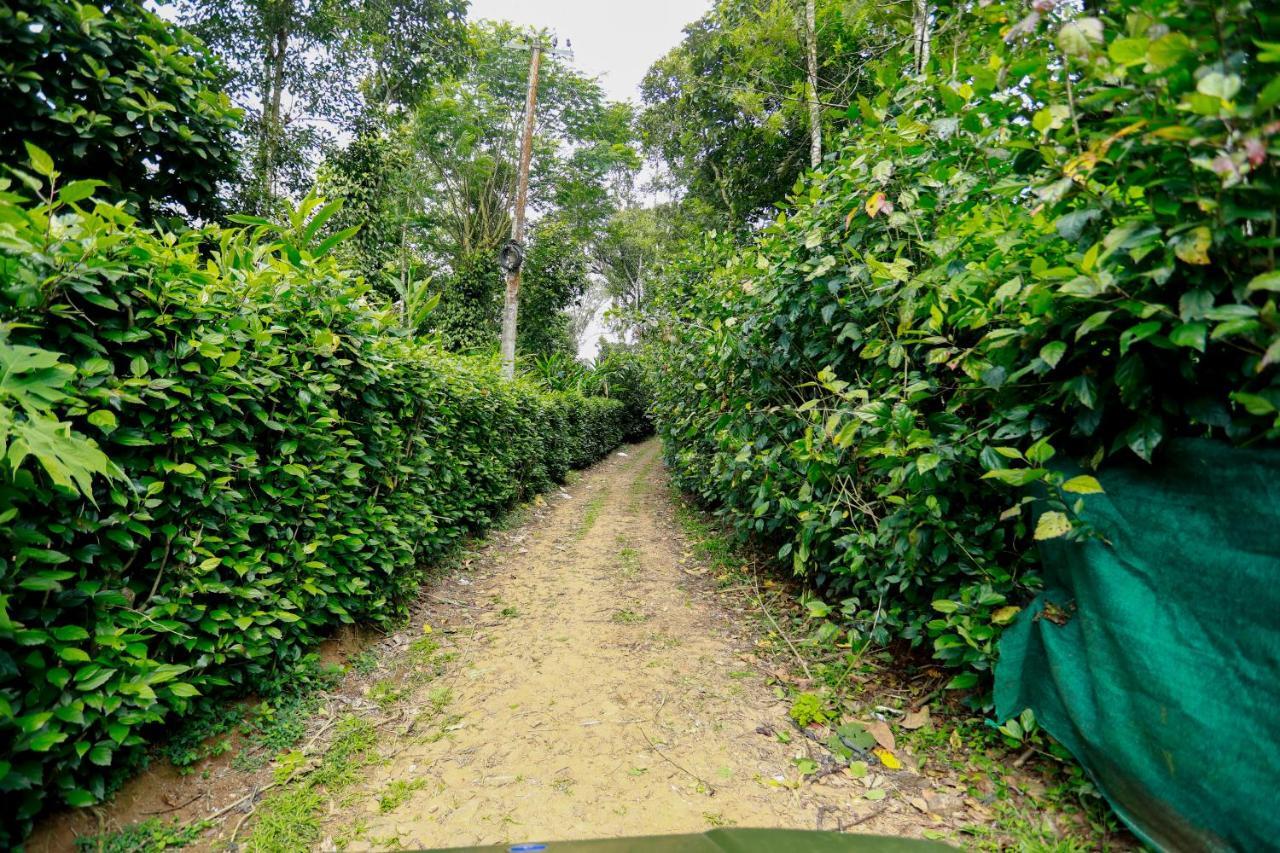 Thekkady Kalarickal Heritage Bungalow Vandanmedu Экстерьер фото
